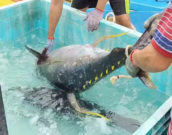 China's Official Opening Up the Import of Aquaculture And Wild Aquatic Roducts