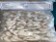 Frozen Sea White Prawn